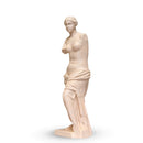 Filamento PLA Crema Marfil Stone High Speed Premium - 1Kg na internet