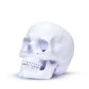 Filamento PLA Branco Velvet High Speed Premium - 1Kg - comprar online